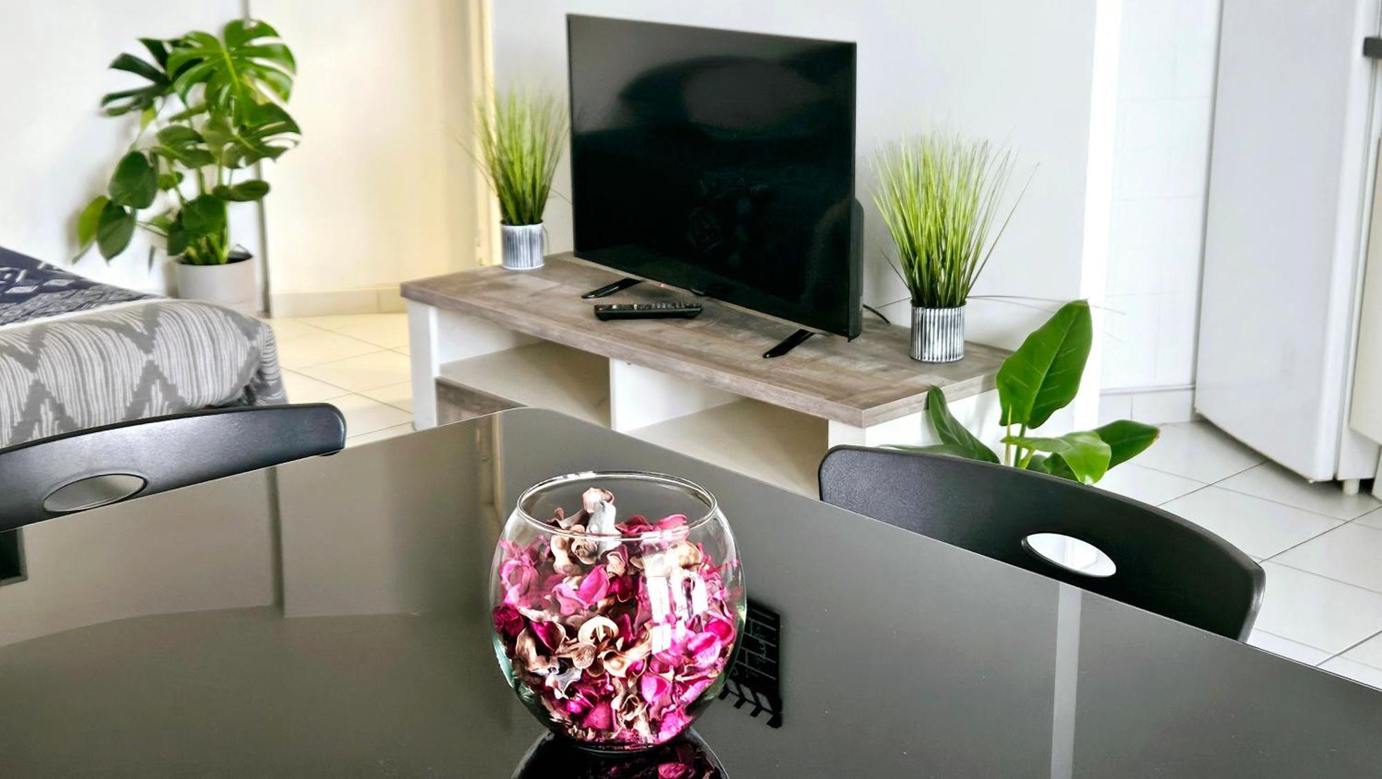 Charmant Studio Cannes Centre - Ideal Vacance Et Congres Dış mekan fotoğraf